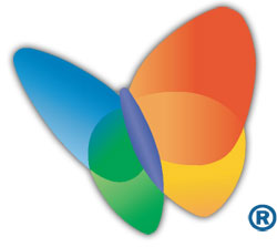 MSN